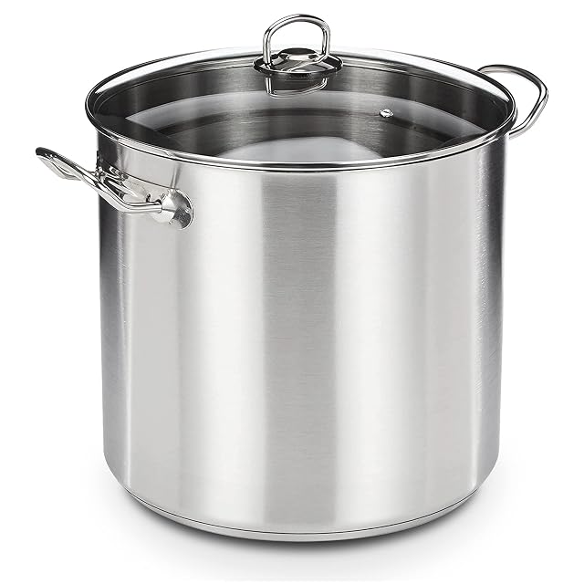 Marmite en inox GSW 643474 Profi de 20 litres avec couvercle en verre